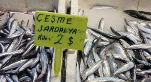 İzmir'de dolarla balık satışı!