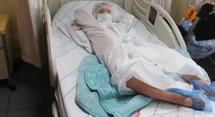 İzmir'de Pitbull dehşeti: Sahibi tasmayı bırakınca saldırdı