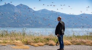 İzmirliler UNESCO adayı Gediz Deltası’nda buluşuyor