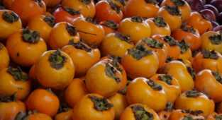 Japon bilim insanları açıkladı: Trabzon hurması Covid-19'a iyi geliyor