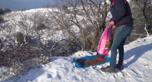 Kemalpaşa Belediyesi can dostları unutmadı