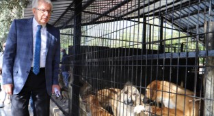 Ödemiş’te sevimli dostlar için yoğun mesai 