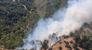 Talan yönetmeliği: Ormanlara, dini eğitim tesisi, havaalanı yapılabilecek! 