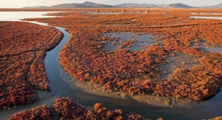 Tarkan'dan Gediz Deltası için önemli çağrı!