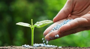 TÜİK: Gübre fiyatları bir yılda yüzde 90 arttı