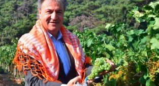 Yerel üreticilere toprak analizi eğitimi