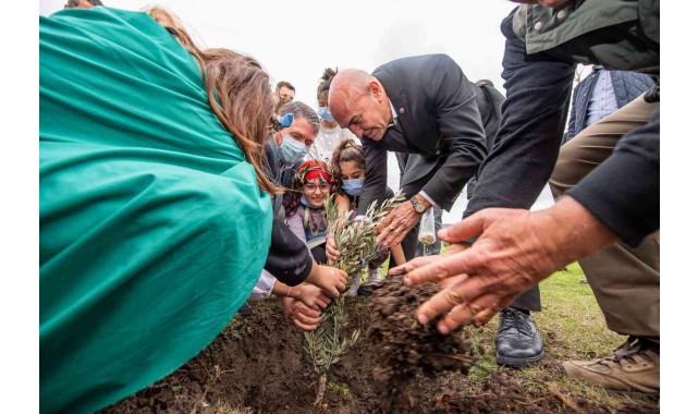 Zeytin Barış Festivali "Bir Zeytin Dalı Yeter" sloganıyla başladı