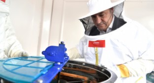 Bornova'da arıcılık eğitimleri başladı