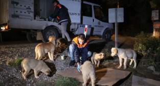 Buca'da can dostlarına gece gündüz mama desteği 