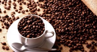 Kahve severlere kötü haber! Yetiştirilen alanlar yarı yarıya azalacak