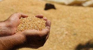 TMO aralık fiyatlarıyla satış yapacak