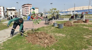 Bornova bahara hazırlanıyor: 5 bin fidan toprakla buluştu