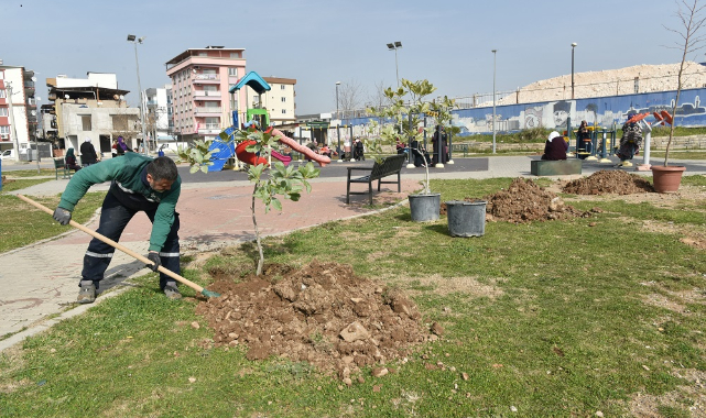 Bornova bahara hazırlanıyor: 5 bin fidan toprakla buluştu