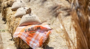 Büyükşehir'den çiftçilere ücretsiz danışmanlık hizmeti