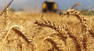 Gıda fiyatlarında büyük risk!