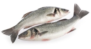 Levreklerdeki hastalık Meclis gündeminde: Prosedürlerin Belirlenmesi Elzem!