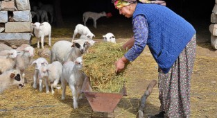 Mera İzmir projesi üreticiye umut oldu!