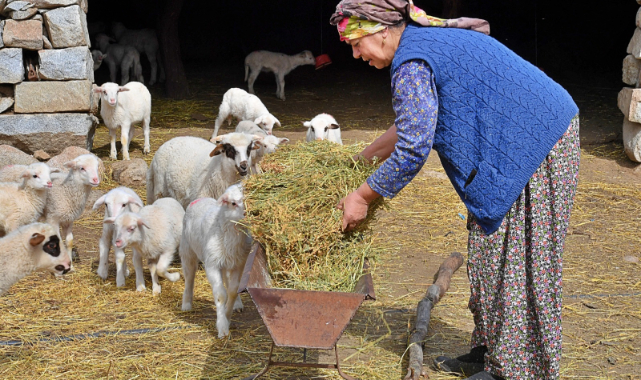 Mera İzmir projesi üreticiye umut oldu!