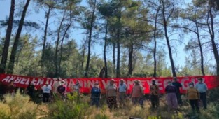 Akbelen Ormanı bilirkişi keşfi öncesi dikkat çeken karar