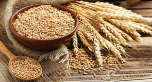 Buğday fiyatları 14 yılın zirvesinde!