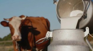 Çiğ süte yüzde 21 zam!