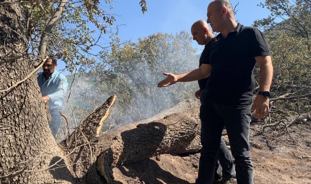 CHP’li Bakan: Yangın sezonu değişmeli ve tüm yıla yayılmalı!