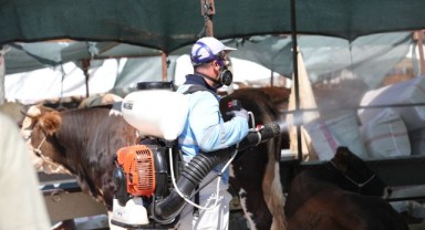 Bayraklı Belediyesi Kurban Bayramına hazır!