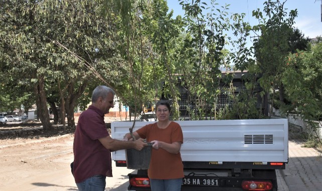 Bornovalılara ücretsiz meyve fidanı