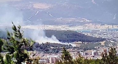  İzmir'de makilikte yangın çıktı!