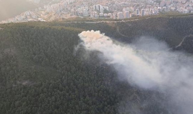 İzmir'de orman yangını