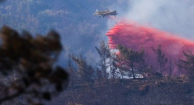 Marmaris Belediye Başkanı Oktay: Yangın söndürüldü