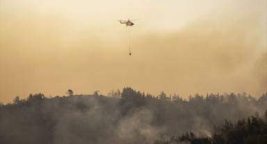 Marmaris'teki yangında sabotaj tespiti!