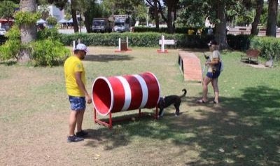 Patili dostlarla koşu