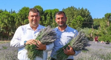 Seferihisar’da lavanta ve ekinezya hasadı şenlikle kutlanacak