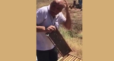 Arıcılık dede mesleği dedi, arılar saldırdı