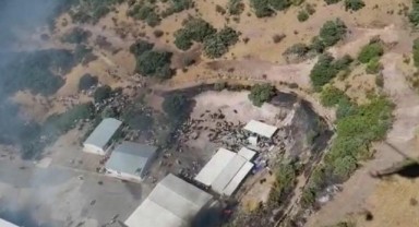 Bergama da yanıyor! Alevler fabrikaya sıçradı