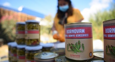 Bornova’da kınalı bamya hasadı