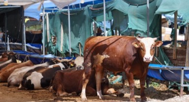 Buca’da bayram öncesi denetim mesaisi