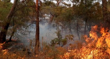 'Datça'da yangına neden olan trafo geçen yıl da yangın çıkardı' iddiası
