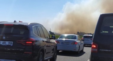 Dikili'de orman yangını! Yoğun dumanlar yükseliyor