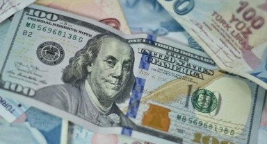 Dünya gazetesi yazarı: Dolar 24 lirayı görebilir