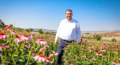 Lavanta ve ekinezya hasadı gerçekleşti 