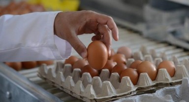 Yumurtaya zam kapıya dayandı!