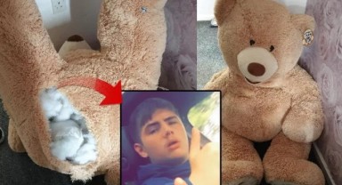 Akılalmaz olay! Polisin aradığı suçlu oyuncak ayının içinden çıktı...