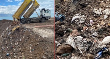 AKP’li belediyenin doğa katliamına bakanlık ‘dur’ dedi