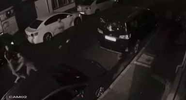'Ayağımı ezdin' dehşeti! Boğazından bıçaklayarak öldürdü