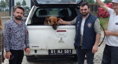 Gençlere biber gazı sıkan bekçiyi ısıran köpek gözaltına alındı