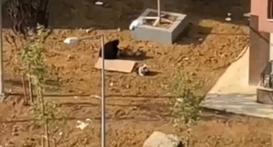İstanbul'un göbeğinde inanılmaz olay! Kocasını canlı canlı toprağa gömüp dua etti!