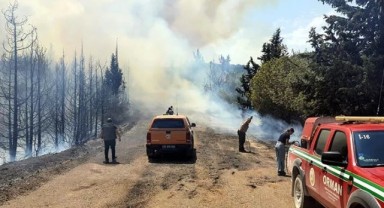 İzmir'de korkutan orman yangını