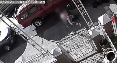 Köpeğini gezdirmeye çıkan kadına sokak ortasında tecavüz